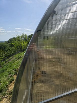 Attēls Modulārā metāla siltumnīca GAUDI 4 m platumā, 40x20 mm rāmis